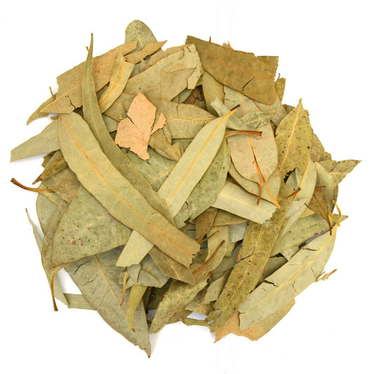 Dry Eucalyptus Leaves